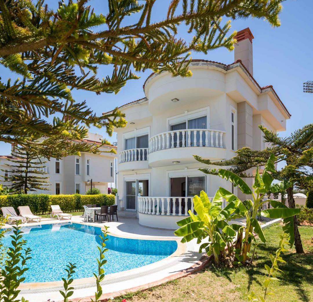 Bluehomes *